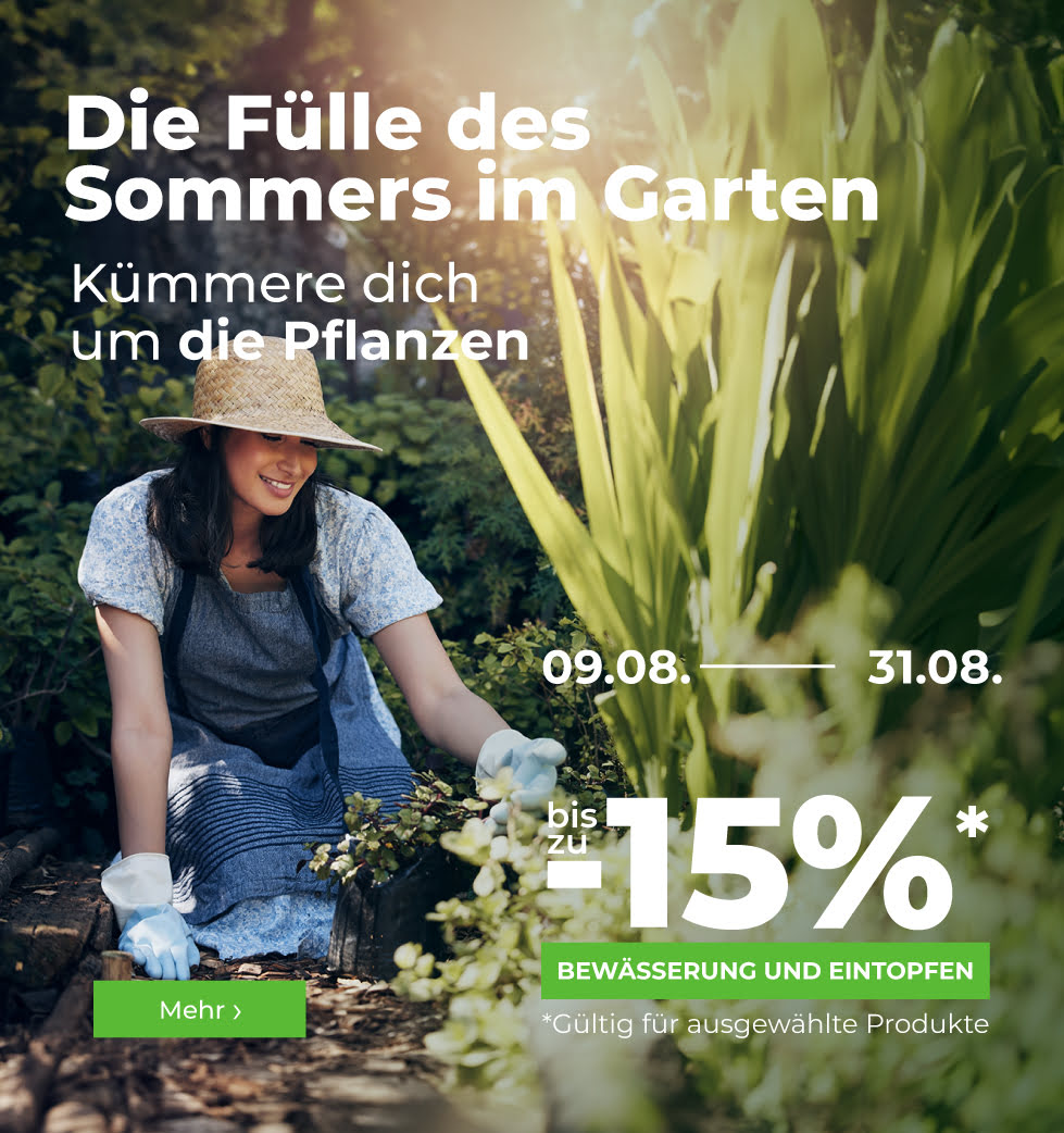 Bewässerung und Töpfe bis zu -15%