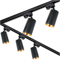 3m Stromschiene Schwarz + 5x Schienenstrahler GU10 Schwarz-Gold SAGI + L-Verbinder LUMILED