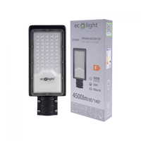 LED-Straßenleuchte 50W 4500lm 5000K kaltweiß IP65 ECONOMY Ecolight