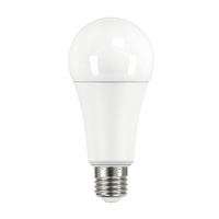 LED Lampen IQ-LED E27 A67 19W 2452lm 6500K Kaltlicht KANLUX