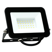 LED Fluter 30W 2400lm 6500K 120° IP65 Schwarz GOLDLUX (Polux)