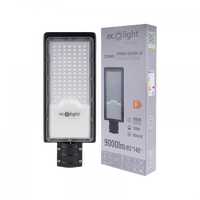 LED-Straßenlampe 100W 9000lm 5000K Kalt IP65 ECONOMY Ecolight