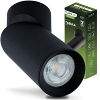 Deckenleuchte mit 1x GU10-Sockeln, Einbaustrahler HALOGEN schräg TABULA SPOT TUBA LUMILED