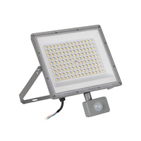 LED-Flutlicht Halogenlampe 100W 10800lm CCT 90° IP44 PIR-Sensor Grau ACETE Kanlux