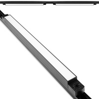 Beleuchtungsschienen-Set 2m Schiene + 2 x LED-Schienenlampen 30W 4000K Schwarz