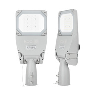 LED Industrie Straßenlampe 35W 5950lm 4000K Neutral IP66 IK09 Grau Master Street Kobi