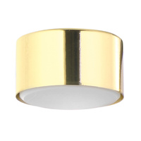 DALLAS GOLD Spot Halogen-Deckenleuchte Gold Rund GX53 6096 TK Lighting