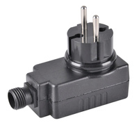 Gartengirlanden-Stromversorgung PARTY 20W 36V Schwarz P314901 GOLDLUX (Polux)