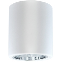 Deckenanbauleuchte Metallrohrspot JUPITER 10 GOLDLUX (Polux) DOWNLIGHT E27