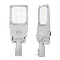 LED Industrie Straßenlampe 80W 13600lm 4000K Neutral IP66 IK09 Grau Master Street Kobi