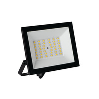LED-Flutlicht GRUN 30W 2650lm 4000K IP65 Schwarz KANLUX