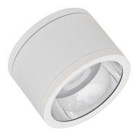 LED Spot Tuba SURFACE Anbauleuchte IP65 30W Neutral 4000K LEDVANCE