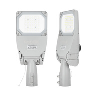 LED Industrie Straßenlampe 35W 5950lm 4000K Neutral IP66 IK09 Grau Master Street Kobi