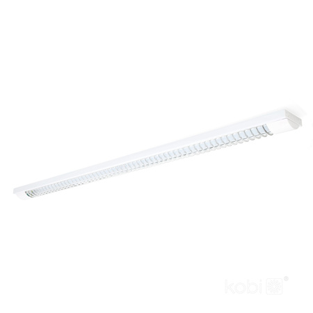 LED-Linearleuchte G13 120cm Grau Zebra Kobi