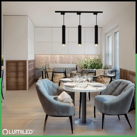 Hängelampe 29cm Reflektor GU10 LED ELIGIS Schwarz LUMILED