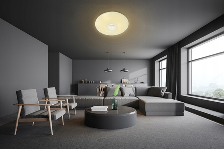 LED PLAIN 50cm runde Deckenleuchte RGBW 3000K-6500K + Fernbedienung BLUETOOTH-LAUTSPRECHER