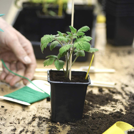 Set mit 5 Produktionstöpfen für Setzlinge Quilten Aussaat von Gemüsesamen 11 x 11 x 12 cm