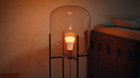 LED-Glühbirne E27 A60 11.8W = 100W 1600lm 1800-20000K CCT + RGB SMART Smart Bluetooth ZigBee Weiß und Farbe Ambiance Philips HUE