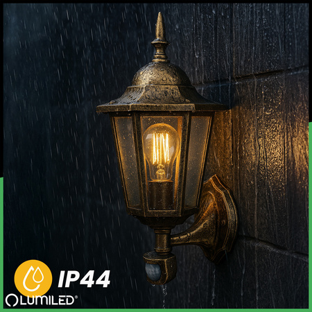 Wandleuchte Außen E27, Hängende Gartenlaterne mit Bewegungsmelder BELLIS LUMILED