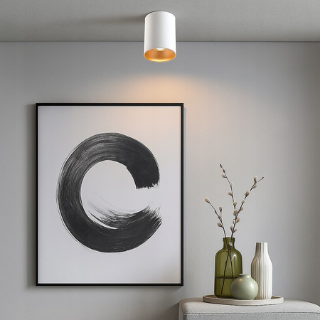 Aufputz-Halogen-Tubus-Reflektor-Spot GU10 Rund Weißgold Masterled