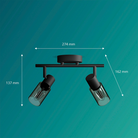 Reflektor-Deckenleuchte 2x E14 Schwarz Palmen Philips