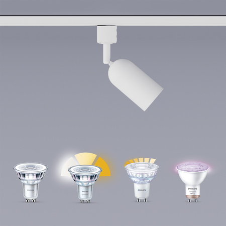 LED GU10 Weiß EasyLink Shea Philips Stromschienenleuchte