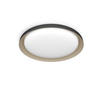 LED Plafond Deckenleuchte 10W 1950lm 4000K SceneSwitch Schwarz Pebblo Ultra Efficient Philips