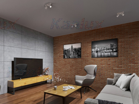 LAURIN Deckenleuchte Leuchte 2xGU10Weiß 22cm Kanlux