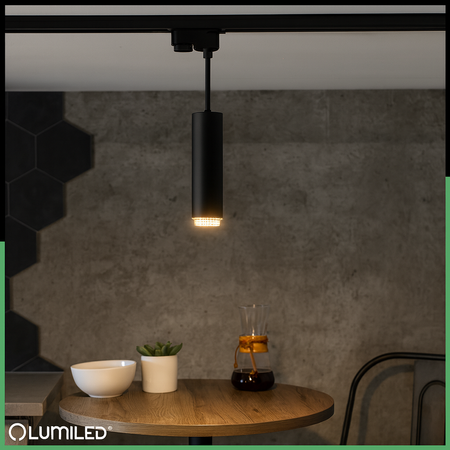 Hängelampe 29cm Reflektor GU10 LED ELIGIS Schwarz LUMILED