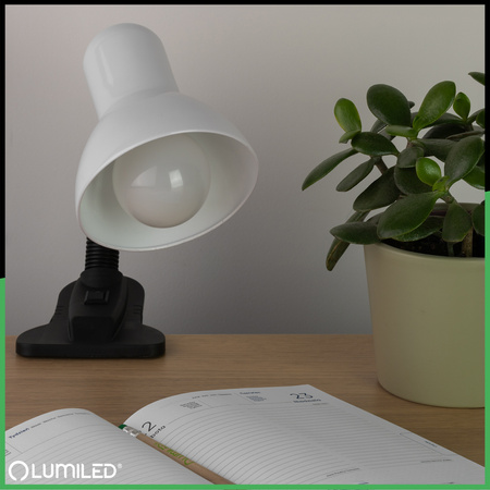 Verstellbare Tischleuchte LIRIA Schule Nachtlicht E27 Clip Weiß LUMILED
