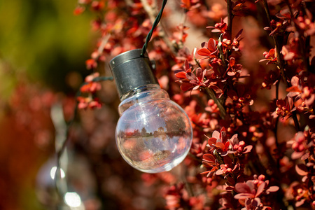 Solar Garland Garden DEKORATIVE Lichterkette 3,35m 10xLED TRANSPARENTE Kugeln 3000K