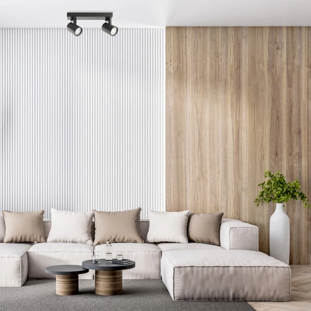 Wand- &amp; Deckenstrahler 2x GU10 Schwarz LYNX Sanico Goldlux