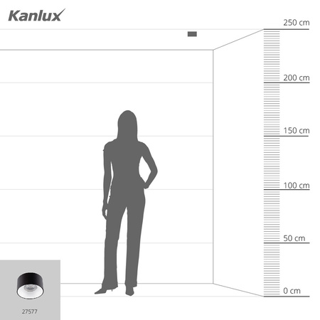 Spot-Deckenleuchte GU10 Schwarz MINI RITI KANLUX