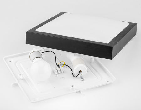 Decken-LED-Leuchte Decken- und Wandleuchte quadratisch Schwarz 2 xE27 IP44