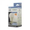 LED-Lampe A60 E27 15W 1350lm 6500K Cold Ecolight