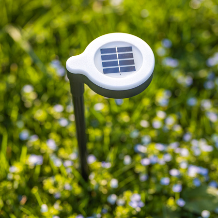 LATI Solar LED-Außenleuchte Warm Black 38.5cm