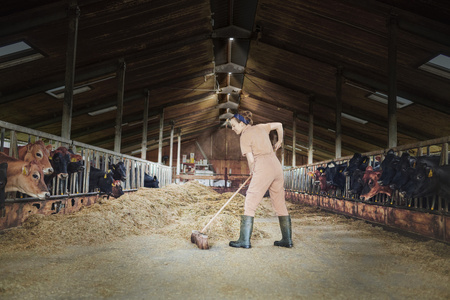 Industrielle LED-Leuchte für den Außenbereich 130W 15000lm 6500K IP65 Schwarz Highbay Ufo Ledvance