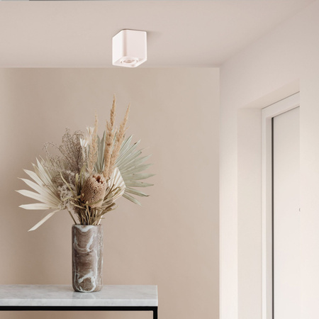 Spot GU10 weiß XENO Sanico Goldlux Anbauleuchte