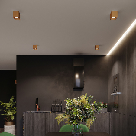 Wandleuchte QUAD 1 G9 Gold Minimalistisch SOLLUX