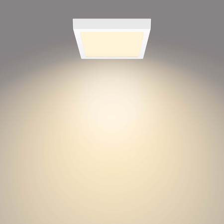 Plafond Panel LED-Oberflächen-Deckenleuchte MAGNEOS 12W 2700K 21cm weißes Downlight-Quadrat PHILIPS