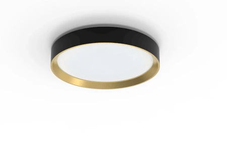 LED Plafond Deckenleuchte 24W 2700lm 2700K SceneSwitch Schwarz Hanno Philips