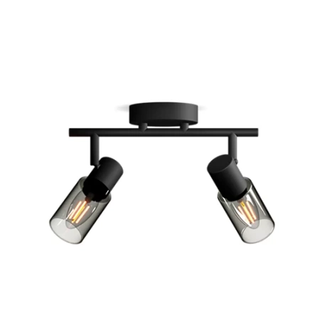 Reflektor-Deckenleuchte 2x E14 Schwarz Palmen Philips