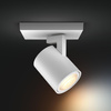 Spot Runner LED Wandleuchte Weiß 4.2W CCT PHILIPS HUE Bluetooth Zigbee
