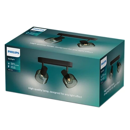 Reflektor-Deckenleuchte 2x E14 Black Sleet Philips