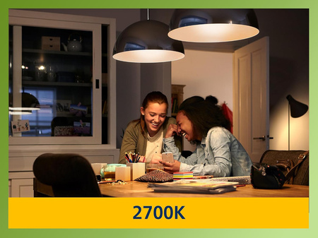 E27 A60 LED Lampe 7,3 W = 100 W, 1535 lm, 2700 K, warmes Filament, milchig, PHILIPS, ultraeffizient