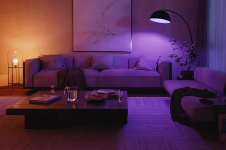 Secure Camera WCA E27 Set + 2x Kontaktsensor + 2x weiße und farbige Ambiance E27 Philips Hue Glühbirnen