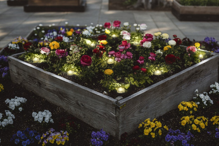 Dekorative RGB-LED-Lichtpunkte 2,5W SMART+ WiFi GARDEN 9 Dot LEDVANCE