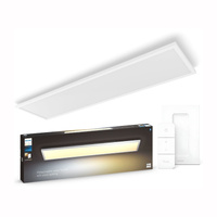 LED-Anbaupanel Aurelle Weiß 39W CCT 120x30cm PHILIPS HUE Bluetooth + Dimmerschalter