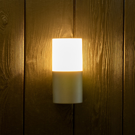 LED-Fassaden-Wandleuchte E27 IP44 17cm Graphit DALLAS GOLDLUX (Polux)