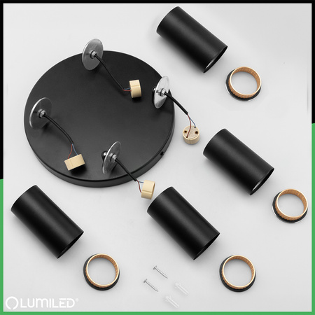 Reflektor Deckenleuchte 4x GU10 Plafond ELIGIS Schwarz LUMILED